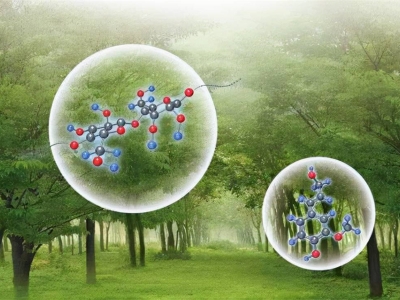 秸秆生物基环保材料是什么，有哪些特点